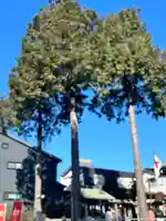 杉山神社(東京都)