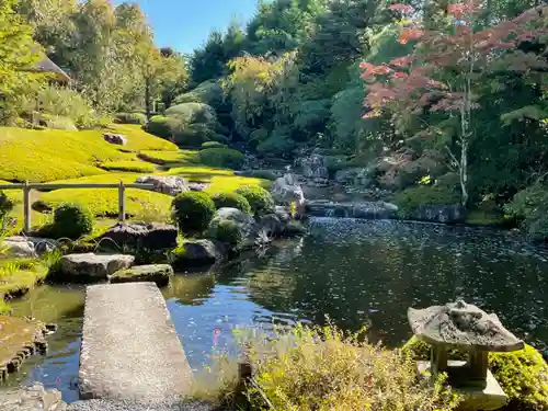 退蔵院の庭園