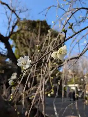 鳩森八幡神社(東京都)