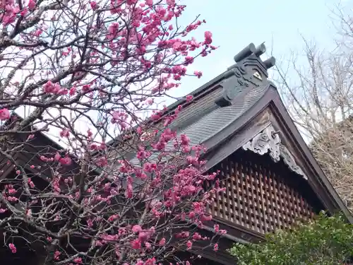 早雲寺(神奈川県)