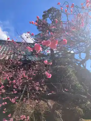 薬師院(神奈川県)