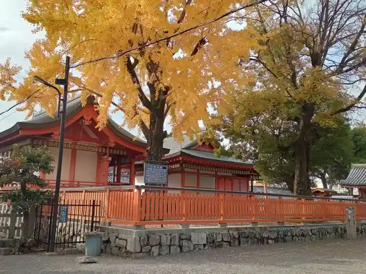東寺(教王護国寺)(京都府)
