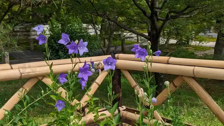 智積院(京都府)