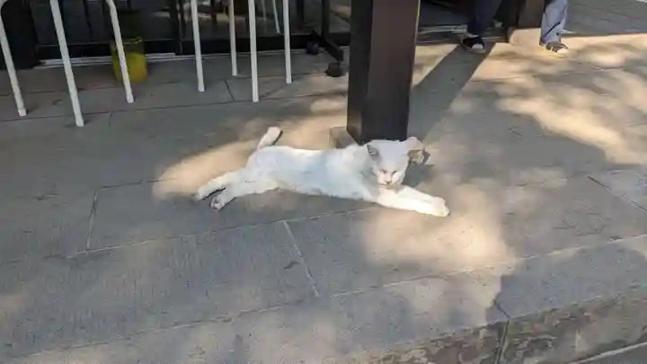 愛宕神社の動物