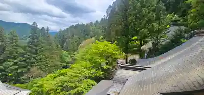 岩屋寺の{uncategorized: "未分類", other: "その他", undefined: "問題あり", building: "その他建物", grave: "お墓", sacred_gate: "鳥居", guardian: "狛犬", statue: "像", buddha: "仏像", history: "歴史", nature: "自然", garden: "庭園", animal: "動物", pagoda: "塔", temizu: "手水舎", mountain_gate: "山門・神門", sanctuary: "本殿・本堂", subordinate: "末社・摂社", art: "芸術", scenery: "景色", jizo: "地蔵", ema: "絵馬", goshuin: "御朱印", omikuji: "おみくじ", items: "授与品その他", amulet: "お守り", goshuincho: "御朱印帳", eats: "食事", festival: "お祭り", votive_dance: "神楽", shichigosan: "七五三参", wedding: "結婚式", experience: "体験その他", initially: "初詣", around: "周辺", anti_infection: "感染症対策"}