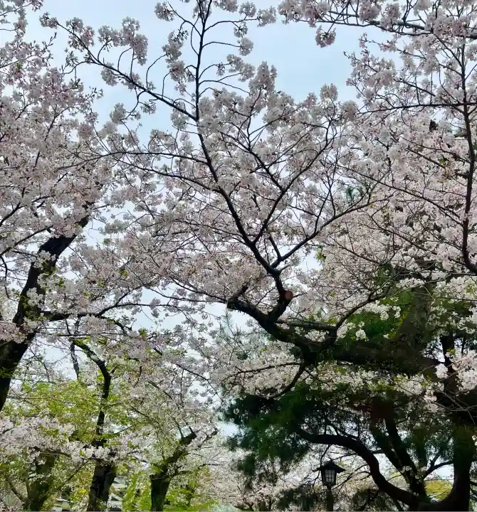 三嶋大社(静岡県)
