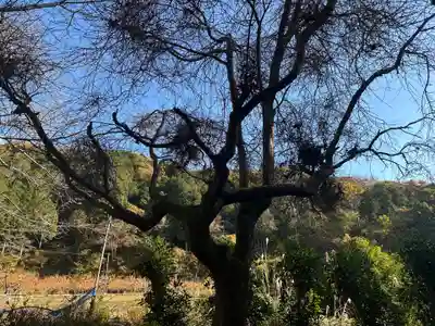 長窪東照宮(静岡県)