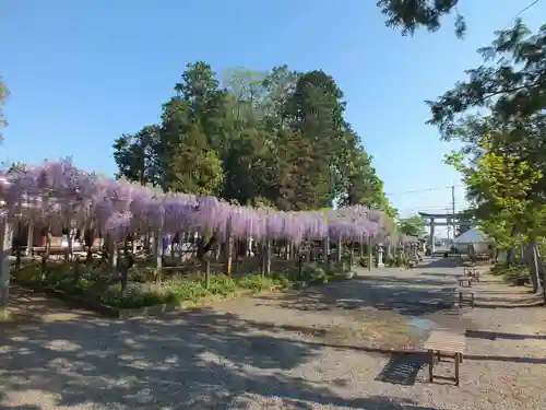 三大神社のその他建物