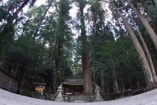 室生龍穴神社の自然