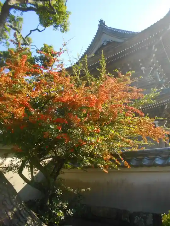 光明寺(神奈川県)