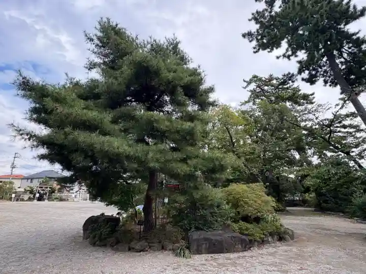 葛飾八幡宮(千葉県)