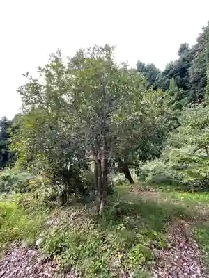 国上寺(新潟県)