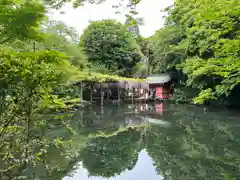 富士山本宮浅間大社(静岡県)