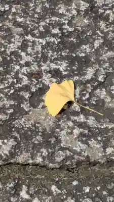 松ヶ崎大黒天 妙圓寺（妙円寺）(京都府)