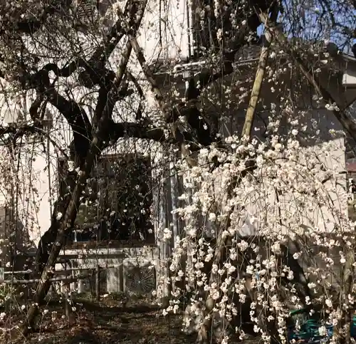 梅園神社の自然