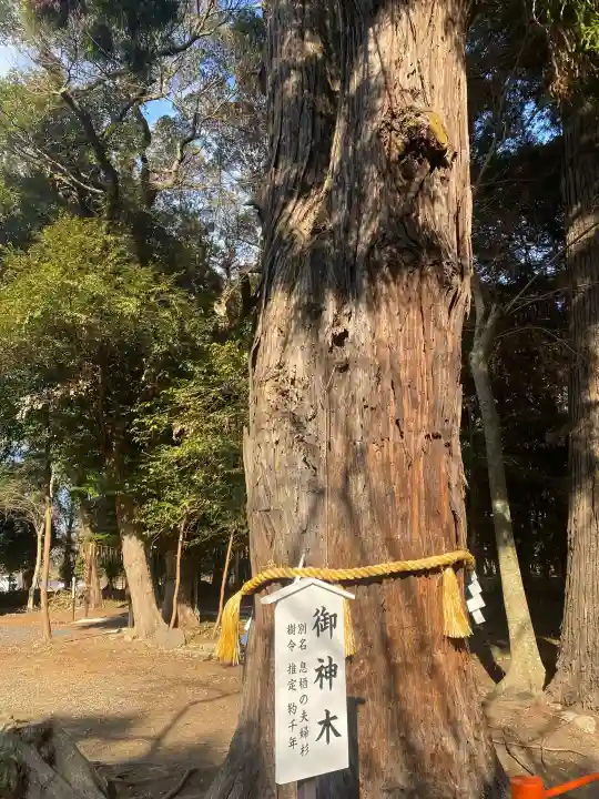 息栖神社の{uncategorized: "未分類", other: "その他", undefined: "問題あり", building: "その他建物", grave: "お墓", sacred_gate: "鳥居", guardian: "狛犬", statue: "像", buddha: "仏像", history: "歴史", nature: "自然", garden: "庭園", animal: "動物", pagoda: "塔", temizu: "手水舎", mountain_gate: "山門・神門", sanctuary: "本殿・本堂", subordinate: "末社・摂社", art: "芸術", scenery: "景色", jizo: "地蔵", ema: "絵馬", goshuin: "御朱印", omikuji: "おみくじ", items: "授与品その他", amulet: "お守り", goshuincho: "御朱印帳", eats: "食事", festival: "お祭り", votive_dance: "神楽", shichigosan: "七五三参", wedding: "結婚式", experience: "体験その他", initially: "初詣", around: "周辺", anti_infection: "感染症対策"}