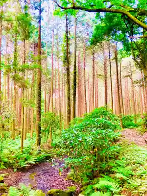 菖蒲沢薬師堂(茨城県)