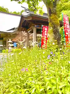 国上寺(新潟県)(2025年05月17日(土) 13時36分44秒投稿)