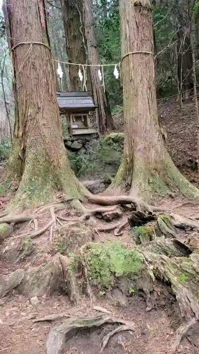 御岩神社の{uncategorized: "未分類", other: "その他", undefined: "問題あり", building: "その他建物", grave: "お墓", sacred_gate: "鳥居", guardian: "狛犬", statue: "像", buddha: "仏像", history: "歴史", nature: "自然", garden: "庭園", animal: "動物", pagoda: "塔", temizu: "手水舎", mountain_gate: "山門・神門", sanctuary: "本殿・本堂", subordinate: "末社・摂社", art: "芸術", scenery: "景色", jizo: "地蔵", ema: "絵馬", goshuin: "御朱印", omikuji: "おみくじ", items: "授与品その他", amulet: "お守り", goshuincho: "御朱印帳", eats: "食事", festival: "お祭り", votive_dance: "神楽", shichigosan: "七五三参", wedding: "結婚式", experience: "体験その他", initially: "初詣", around: "周辺", anti_infection: "感染症対策"}