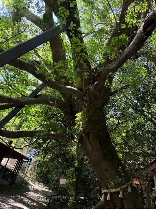 八大龍王水神(宮崎県)