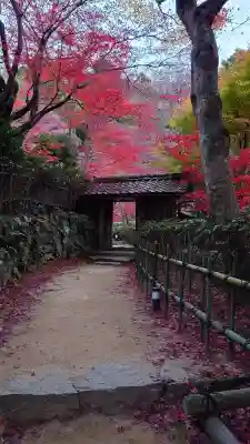 教林坊の{uncategorized: "未分類", other: "その他", undefined: "問題あり", building: "その他建物", grave: "お墓", sacred_gate: "鳥居", guardian: "狛犬", statue: "像", buddha: "仏像", history: "歴史", nature: "自然", garden: "庭園", animal: "動物", pagoda: "塔", temizu: "手水舎", mountain_gate: "山門・神門", sanctuary: "本殿・本堂", subordinate: "末社・摂社", art: "芸術", scenery: "景色", jizo: "地蔵", ema: "絵馬", goshuin: "御朱印", omikuji: "おみくじ", items: "授与品その他", amulet: "お守り", goshuincho: "御朱印帳", eats: "食事", festival: "お祭り", votive_dance: "神楽", shichigosan: "七五三参", wedding: "結婚式", experience: "体験その他", initially: "初詣", around: "周辺", anti_infection: "感染症対策"}