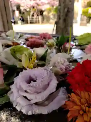 鳩森八幡神社の手水舎