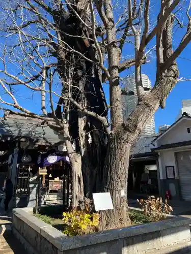 飛木稲荷神社(東京都)