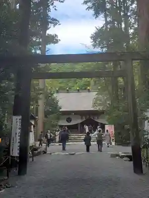 椿大神社の鳥居
