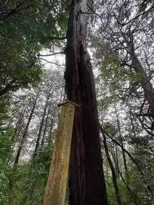 松尾神社の自然