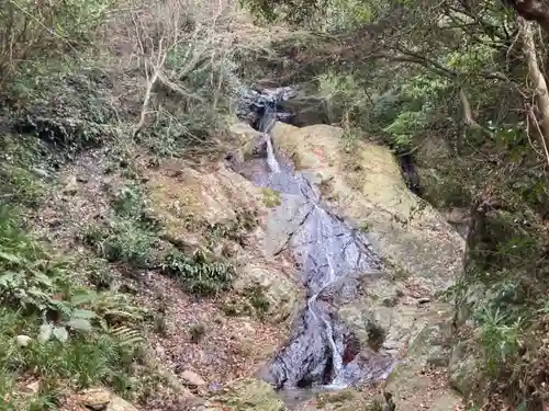 熊野神社の自然