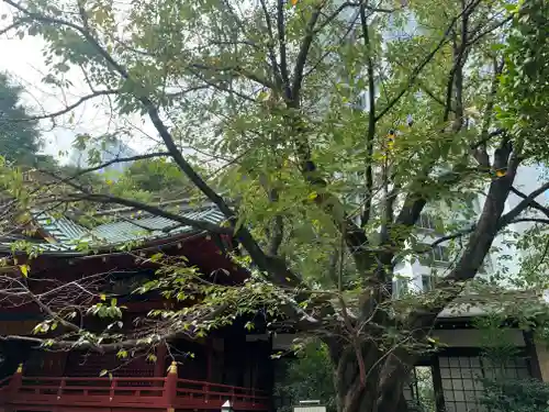 金王八幡宮の景色