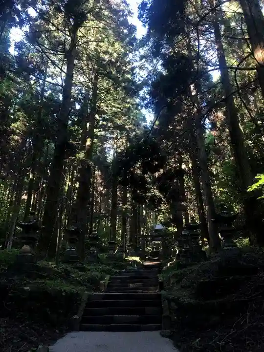 上色見熊野座神社の自然