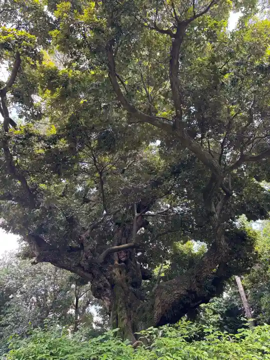 新日吉神宮(京都府)
