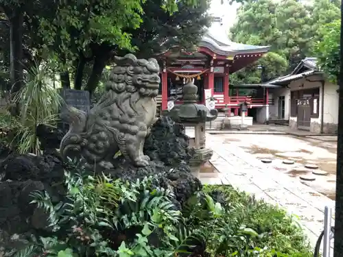 柏諏訪神社の狛犬