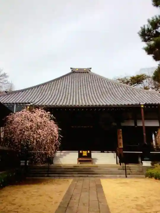 妙法寺(東京都)