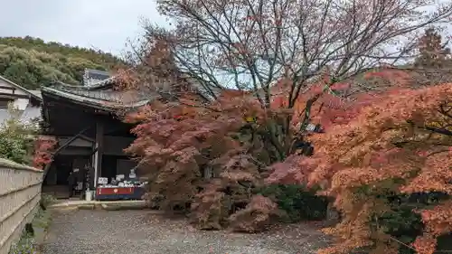 実相院門跡(京都府)