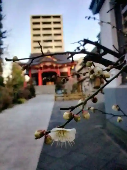 成子天神社(東京都)