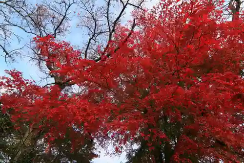 長屋神社の庭園