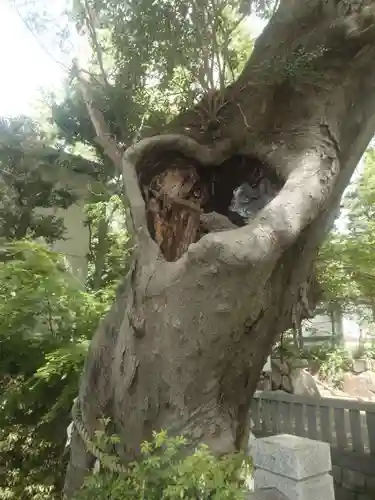 青渭神社(東京都)