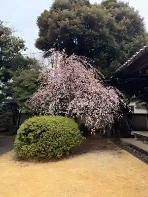 天王寺の{uncategorized: "未分類", other: "その他", undefined: "問題あり", building: "その他建物", grave: "お墓", sacred_gate: "鳥居", guardian: "狛犬", statue: "像", buddha: "仏像", history: "歴史", nature: "自然", garden: "庭園", animal: "動物", pagoda: "塔", temizu: "手水舎", mountain_gate: "山門・神門", sanctuary: "本殿・本堂", subordinate: "末社・摂社", art: "芸術", scenery: "景色", jizo: "地蔵", ema: "絵馬", goshuin: "御朱印", omikuji: "おみくじ", items: "授与品その他", amulet: "お守り", goshuincho: "御朱印帳", eats: "食事", festival: "お祭り", votive_dance: "神楽", shichigosan: "七五三参", wedding: "結婚式", experience: "体験その他", initially: "初詣", around: "周辺", anti_infection: "感染症対策"}