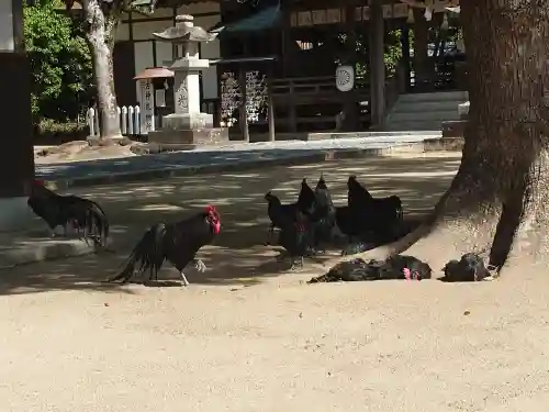 玉祖神社(山口県)