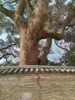 石清水八幡宮(京都府)