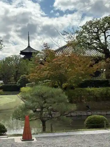 東寺（教王護国寺）(京都府)