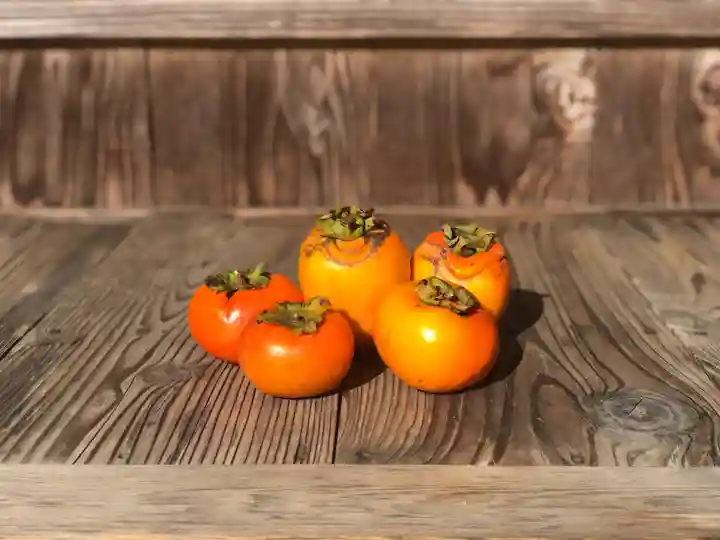 木舟山 順教寺(広島県)