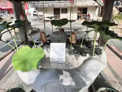 青岸渡寺(和歌山県)