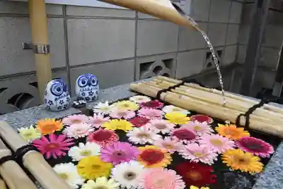 【閉業】小石川大神宮の手水舎