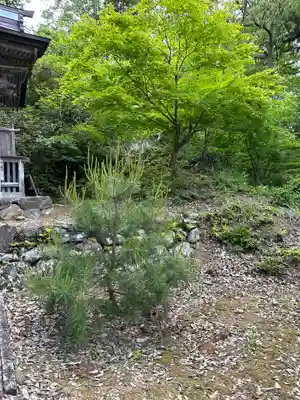 伊香具坂神社の自然