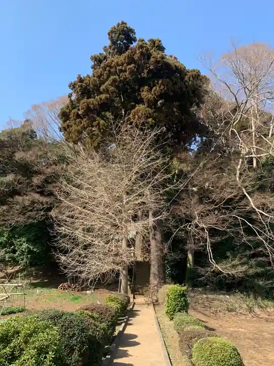 大木戸八幡神社(千葉県)