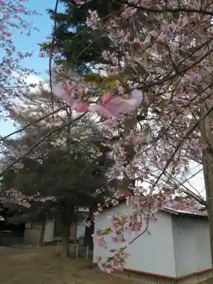 秋葉大神社の自然
