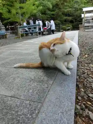 大興寺(香川県)